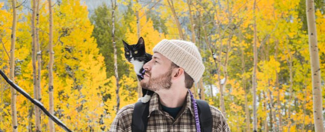 cat and man outdoors, introduce your cat to your new partner